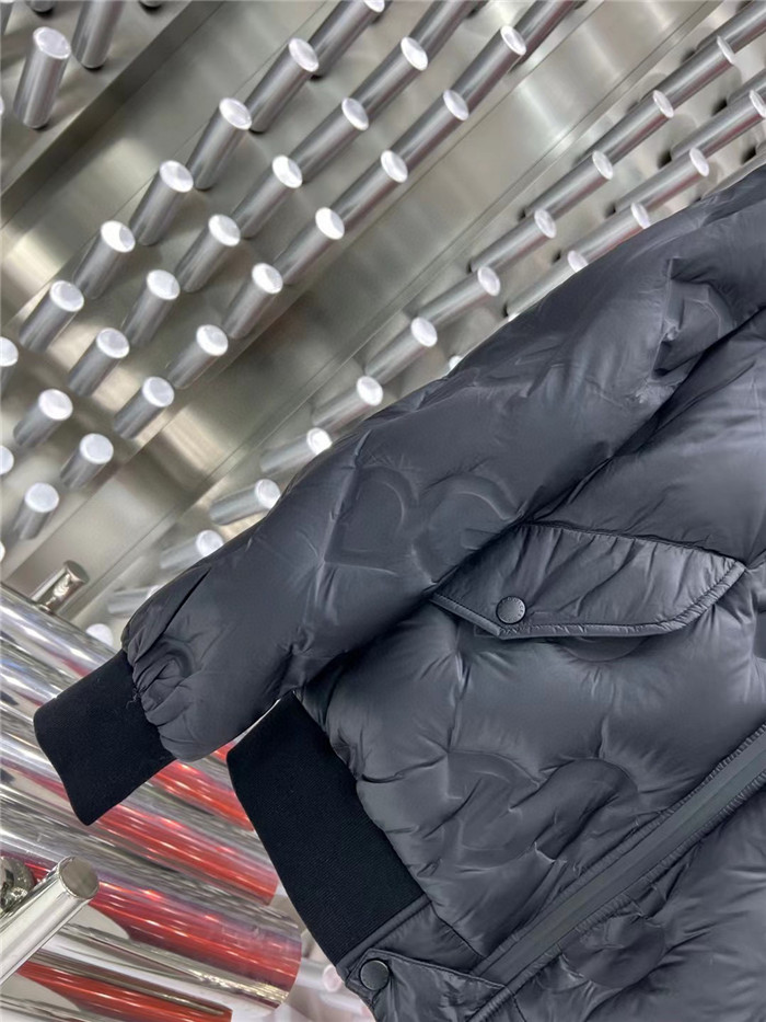 2023fw LV Down Jacket Top Version